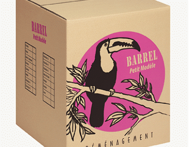 📦 Cartons de déménagement – Neufs ou d’occasion