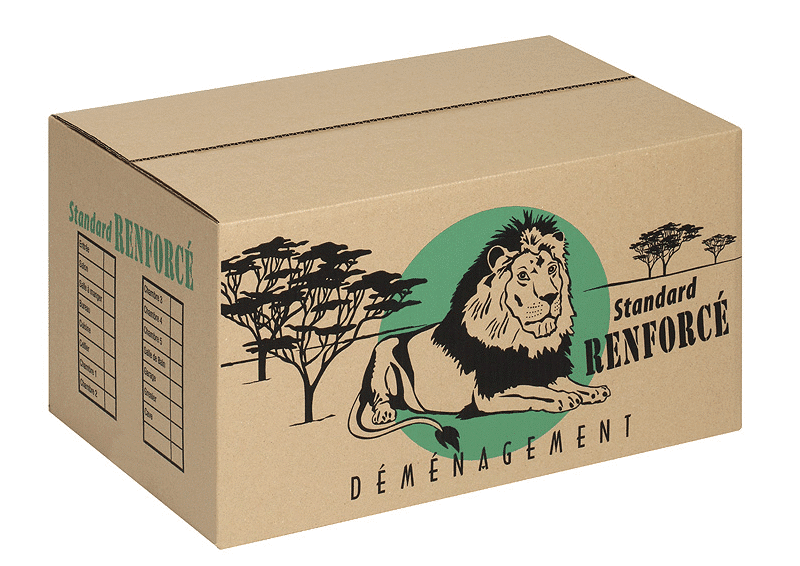 📦 Cartons de déménagement – Neufs ou d’occasion