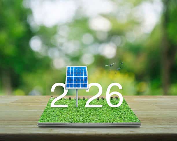 Faire des choix pour son jardin et ses extérieurs en 2026