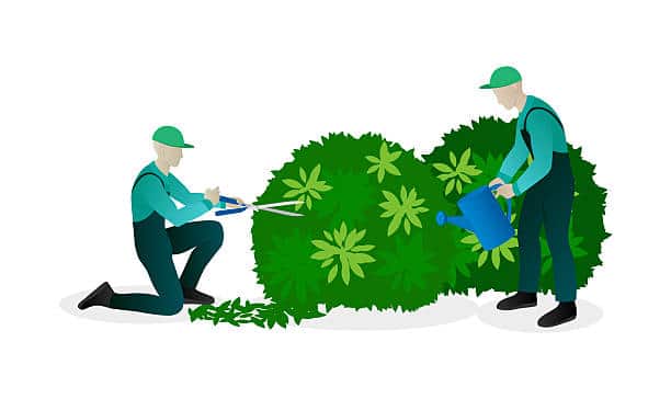 Paysagiste professionnel Vallée de l'Ondaine