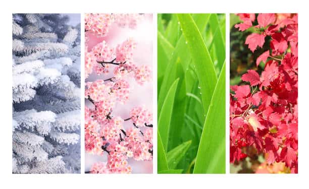 Aménager ses extérieurs pour profiter de chaque saison dans la Loire (42)