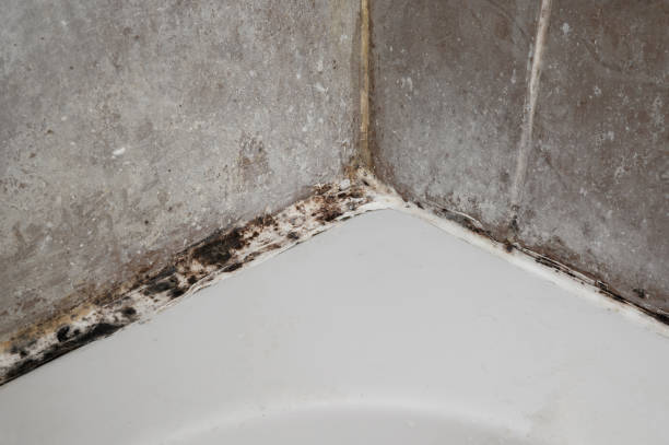 Problème d'humidité dans une salle de bain nécessitant une rénovation