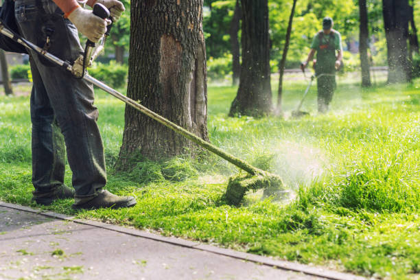 Homme utilisant un rotofil pour couper l’herbe sur un terrain arboré