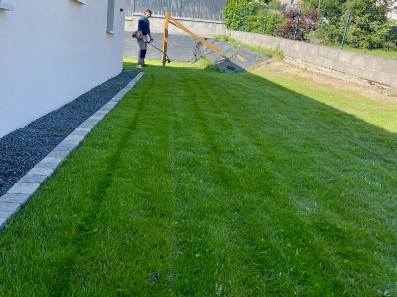 Aménagement extérieur, plantations, massifs et création de gazon 🌱