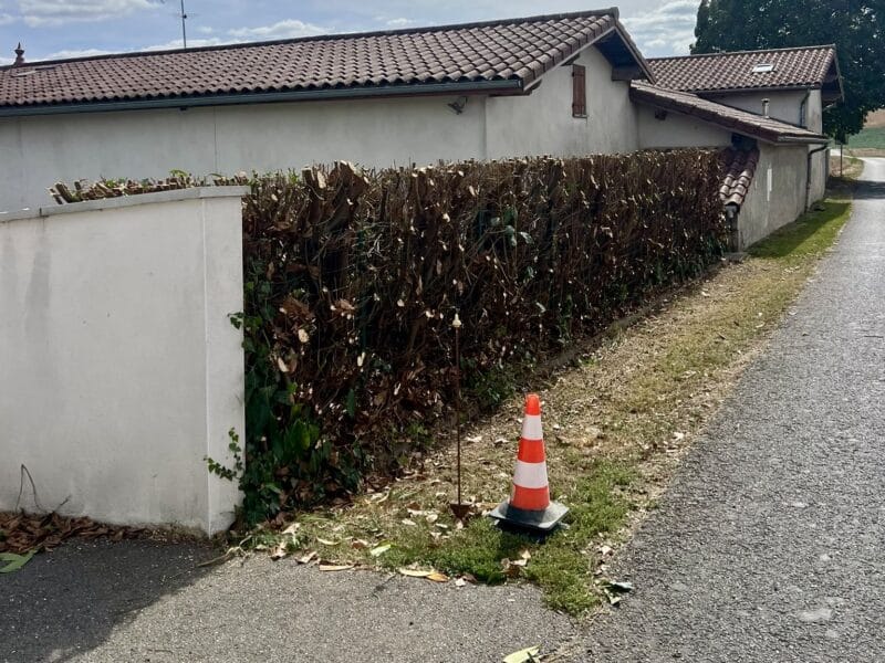 Entretien d’espaces verts : taille de haies et tonte de pelouse 🌿